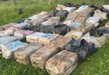 FUERZA PÚBLICA INCAUTÓ MÁS DE 1.3 TONELADAS DE ESTUPEFACIENTES EN EL URABÁ CHOCOANO