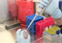 Cientificos en el mundo buscan la cura del Cancer. Que tan efectivos son los tratamientos?