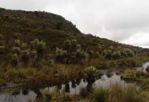 Profunda deliberación por defensa de los páramos