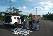 Ejército Nacional capturó a sujeto que presuntamente transportaba 32 kilogramos de marihuana