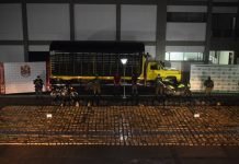 Ejército Nacional incauta más de 3 toneladas de marihuana en el Caquetá