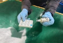 Propinado el más importante golpe al narcotráfico del ELN este año: incautadas 6 toneladas de clorhidrato de cocaína