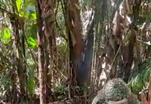 Hallan tonelada y media de material explosivo al sur del Meta