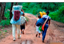 Reforma agraria autosostenible