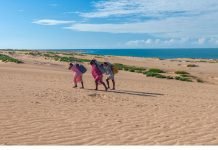 Porque las mujeres Wayuu que salieron de la Guajira no participaron en las marcha?
