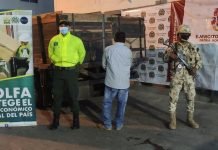 Capturada una persona transportando ganado en pie ilegalmente