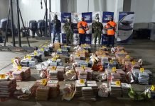 localizado centro de acopio de alcaloides del “Clan del Golfo” en zona de manglar de Córdoba