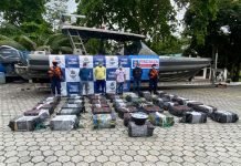 Disidencias de las Farc pierden alijo de alcaloides cuyo costo ascendería a más de 42 Millones de dólares