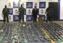 En contenedor autoridades incautan cerca de media tonelada de clorhidrato de cocaína