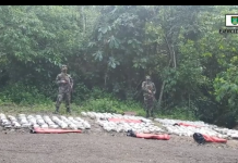 116 Toneladas de cocaína y 95 de marihuana fueron decomisadas durante la Operación Orión