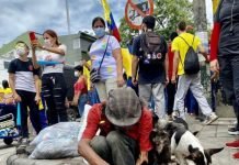 Nuevo proyecto busca prohibir el uso de animales en protestas