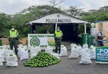 En la vía Maicao-Riohacha son aprehendidos más de una tonelada de perecedero