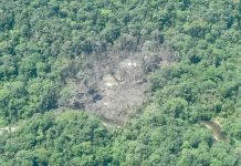 Contundente golpe contra el ELN en Chocó