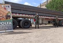 La Polfa aprehendió más de 29 millones en insumos industriales