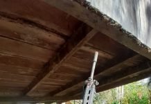 Destruido campamento de disidencias “Comandos de frontera” en zona rural de Ecuador