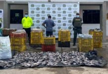 Una persona fue capturada por la Polfa con más de mil kilos de pescado de contrabando