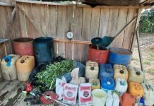 Fuerzas pública afecta las finanzas de las disidencias de las farc en más de 90 millones de dólares