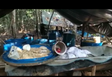 Cinco capturas en Guaviare por narcotráfico