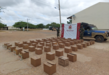 Más de 700 botellas de licor de contrabando fueron incautadas por el Ejército Nacional en la Alta Guajira