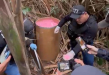 Acción articulada contra la criminalidad organizada permite ubicar 200 kilogramos de explosivos de alto poder en Cali