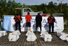 Incautada cocaína avaluada en más de 31 Millones de dólares, en San Andrés Isla