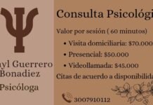 Consultas psicológica en manos expertas