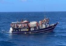 Armada de Colombia y autoridades Hondureñas incautaron más de 2,5 toneladas de pesca ilegal