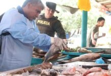 Alcaldía de Soledad alerta sobre consumo de pescado, mariscos y enlatados