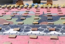 El ejército decomisa más de 80 kilogramos de marihuana