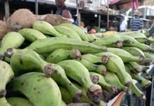 En Barranquillita con «vacunas» los extorsionistas viven y gozan su Carnaval los 365 días