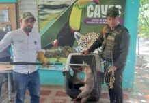 La policía metropolitana de Santa Marta realiza planes para la protección del medio ambiente