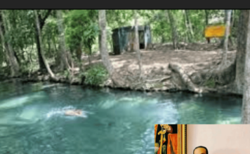 Freno judicial a la minería en Cañaverales La Guajira