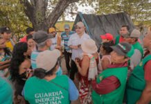 Tolima: 360 hectáreas del narcotráfico, a manos campesinas e indígenas