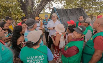 Tolima: 360 hectáreas del narcotráfico, a manos campesinas e indígenas