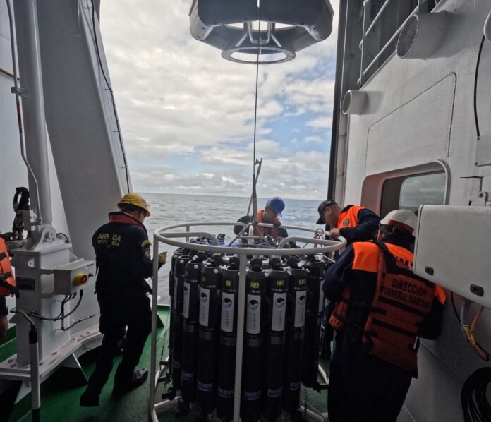 WhatsApp Image 2025-11-10 at 5.45.31 PM