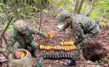 Ejército Nacional destruyó depósito de explosivos que contenía 26 minas antipersonal del Bloque Central Isaías Pardo en el norte del Huila